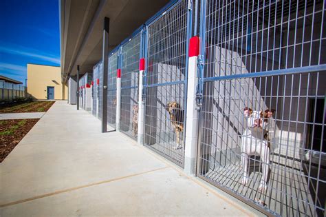Placer county animal shelter - The two-acre facility will eventually entirely replace the SPCA’s existing 50-year-old, 10,000-square-foot site and will serve Placer County animals and residents for years to come. On July 1, 2015, Roseville City Council voted unanimously in favor of an agreement for the city to invest $7.6 million in partnership with the Placer SPCA to help …